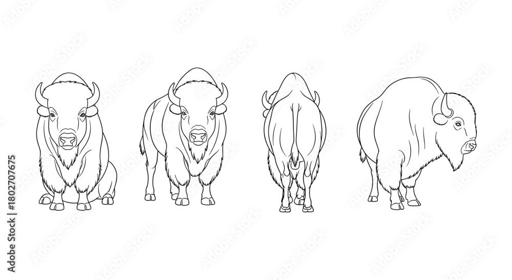 Obraz premium Bison line art collection: front, side, rear views of powerful animals