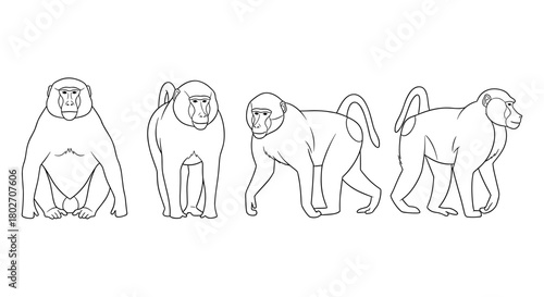Outline drawing of four monkeys in various poses on a plain background