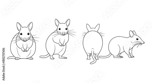 Mouse silhouette set with different poses and angles