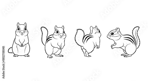 Detailed black and white chipmunk sketch set in various poses