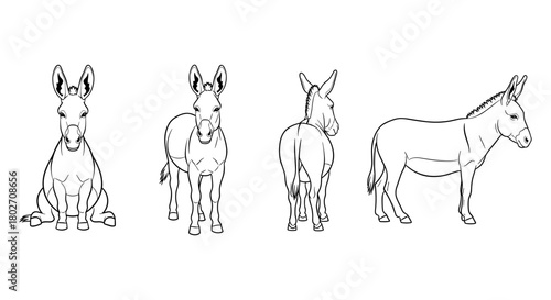 Donkey line art: four detailed perspectives in minimalist style
