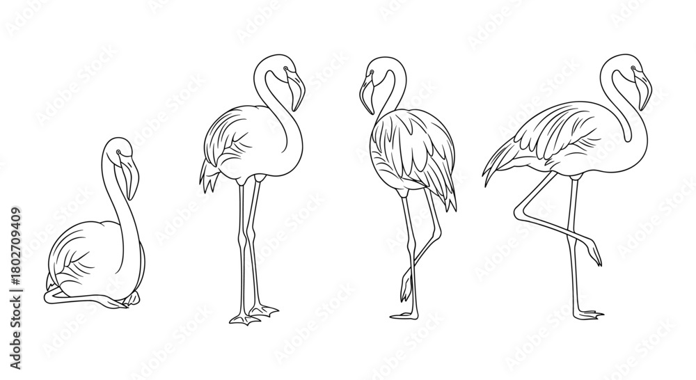 Fototapeta premium Elegant flamingo line art collection: minimalist linear designs for creative projects