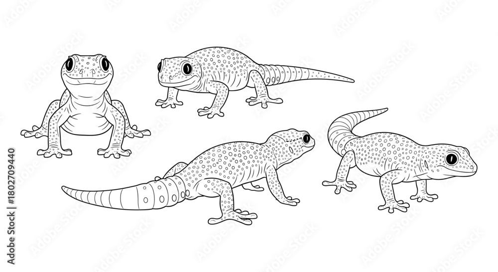 Obraz premium Detailed black and white geckos collection in line art style