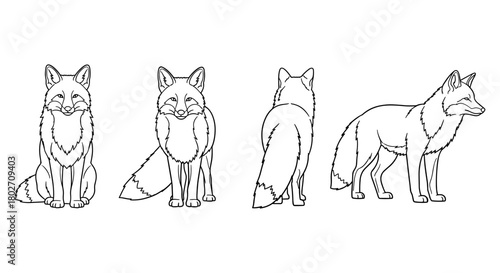 Fox outline drawing set in linear style for kids and adult coloring
