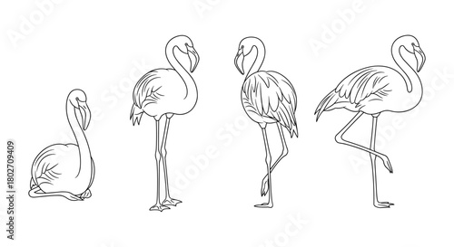 Elegant flamingo line art collection: minimalist linear designs for creative projects