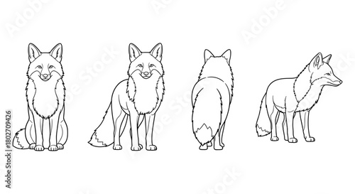 Fox design with multiple perspectives in linear style