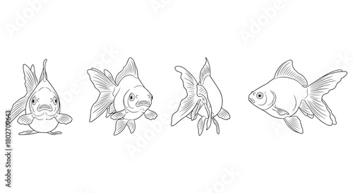 Detailed outline drawing of graceful goldfish in various poses on white background
