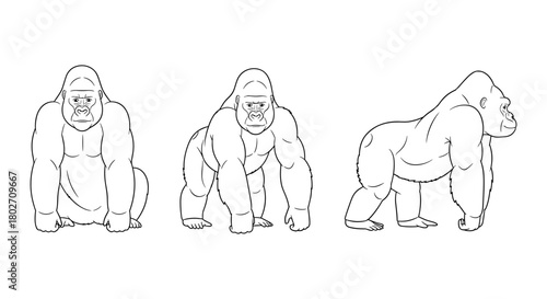 Gorilla trio: classic black and white outline style in various poses