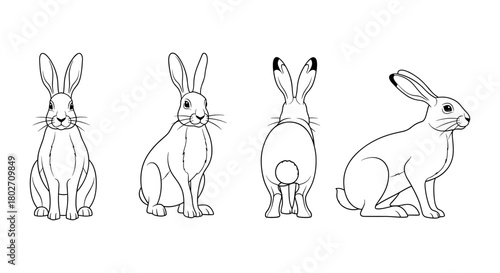 Cute bunny line art: four adorable rabbit poses in detailed outline drawing