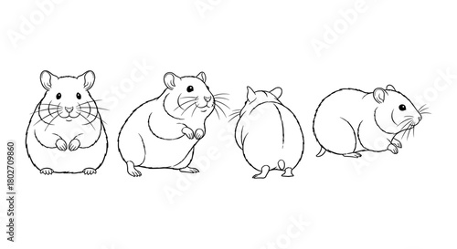 Hamster line art set: cute rodent sketches from all angles