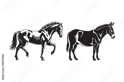Stylized black and white silhouettes of a horse and a donkey