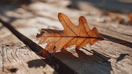 Autumn Leaf on Wooden Surface with Natural Light and Shadows