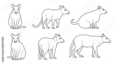 Line art rodent illustrations: six minimalist rodent poses