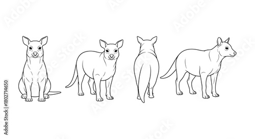 Dingo silhouette in multiple views: front, back, side, and sitting positions