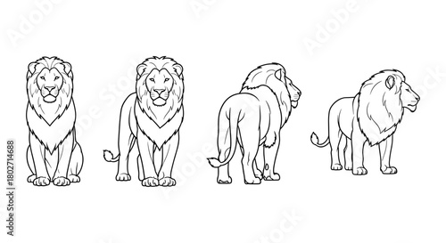 Lion line art: four views of a majestic lion in detailed outline style