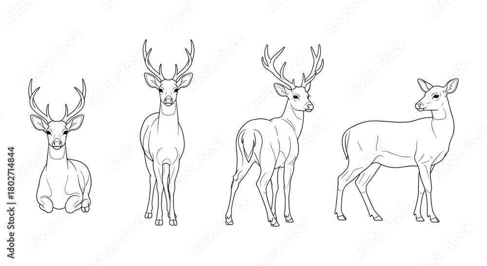 Naklejka premium Elegant deer line art collection featuring various poses and antler styles