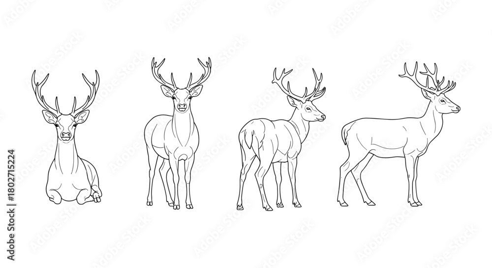 Naklejka premium Elegant deer line art: four graceful deer poses with antlers