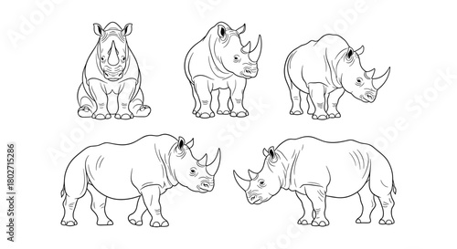 Rhino sketch collection: detailed linear animal designs