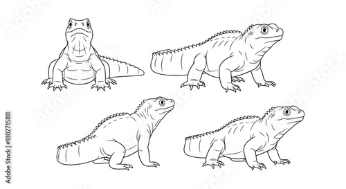 Reptile collection: detailed lizard sketches in outline style for nature enthusiasts
