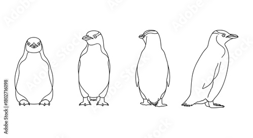 Penguin outline set: multiple perspectives in linear style