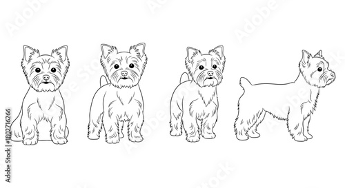 Yorkshire terrier outline in various poses for pet-themed design projects