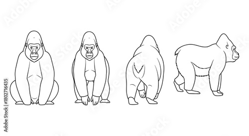 Gorilla outline in various poses and angles