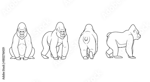 Gorilla line art in various poses with multiple angles