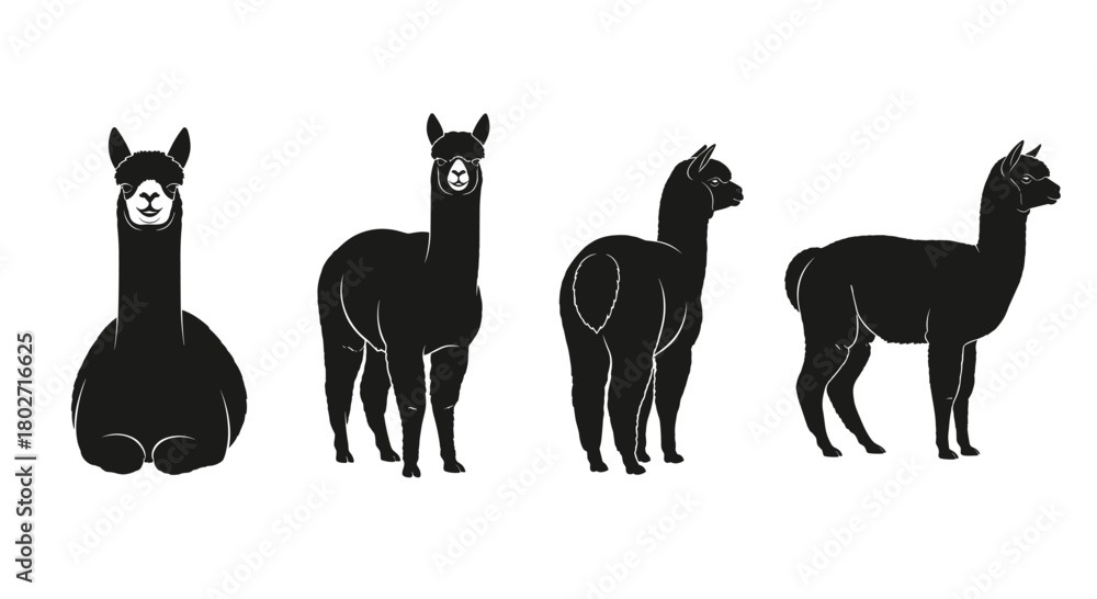Fototapeta premium Silhouette alpacas: minimalist black and white design of four unique poses