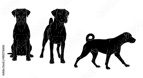 Silhouette dogs in various poses: sitting, standing, walking