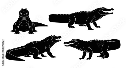 Crocodile and alligator silhouette set on white background