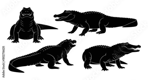 Crocodile silhouette collection: set of four black reptile silhouettes on white background