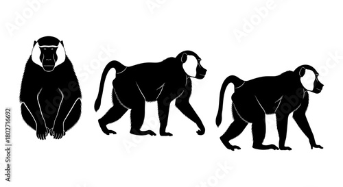 Baboon silhouettes: set of three monochrome animal figures in profile and front view