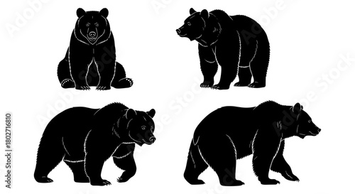 Bear silhouette set: diverse black silhouettes of standing and sitting bears