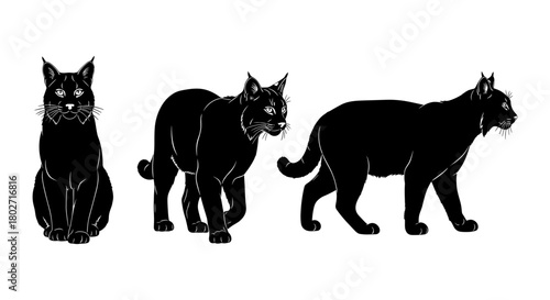 Black cat silhouette set of three poses on white background
