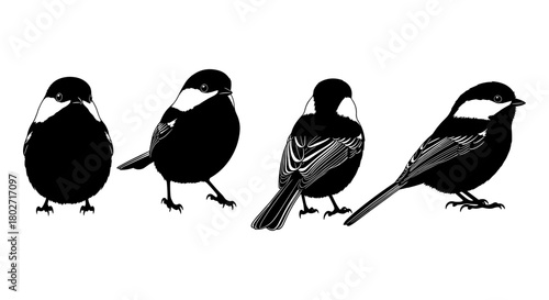Chickadee silhouette set: four distinct poses in high contrast