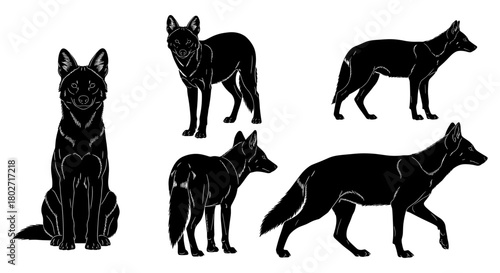 Black dog silhouettes set: various poses of canines in profile and full body