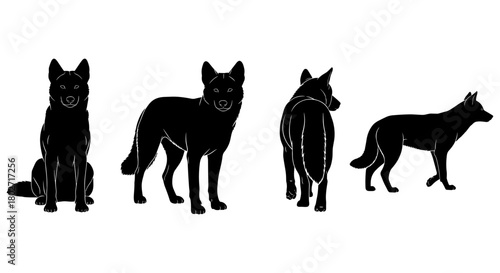 Wolf silhouette set: four poses in detailed black silhouette style on white background