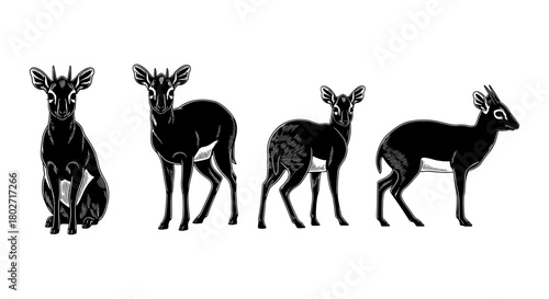 Monochrome deer silhouette collection: four unique black and white animal designs