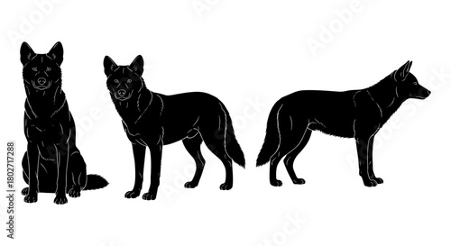 Silhouette set of german shepherd dog in different poses