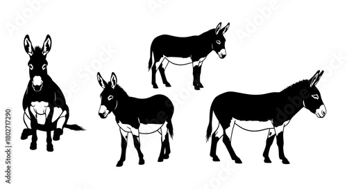 Silhouette illustration of donkeys in various poses on white background