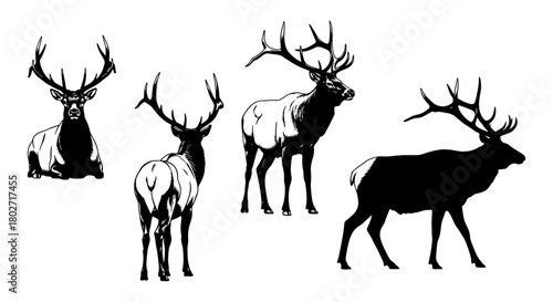 Monochrome deer silhouettes with antlers in various poses on white background