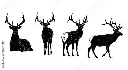 Elegant deer silhouettes: diverse poses of majestic stags in black and white