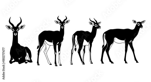 Graceful antelope silhouettes in various poses on white background