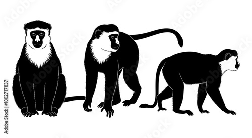Silhouette monkeys on white background, wildlife art with bold black lines