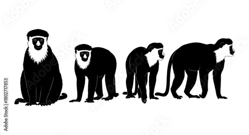 Silhouette of four gorillas in various poses on white background