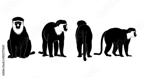 Silhouette set of monkeys in various poses on white background