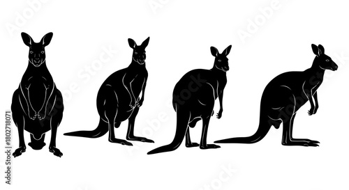 Dynamic kangaroo silhouettes in various poses for wildlife design