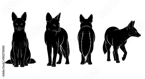 Four silhouette views of alert fox in profile and motion