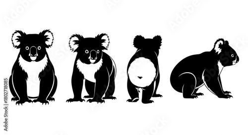 Silhouette koala views: front, back, and side perspectives for design projects