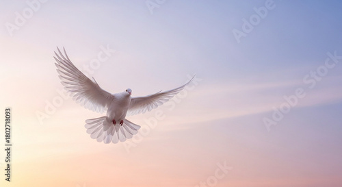 white dove silhouette flying across pastel sky, peaceful gradient background